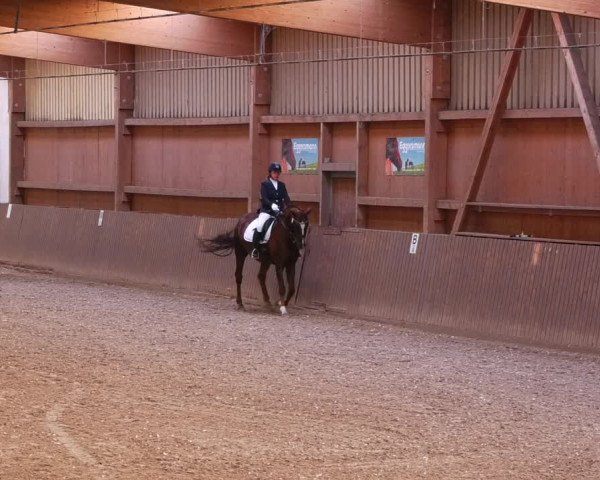 Reitturnier Lentzke - Reitanlage Krehl 2022
