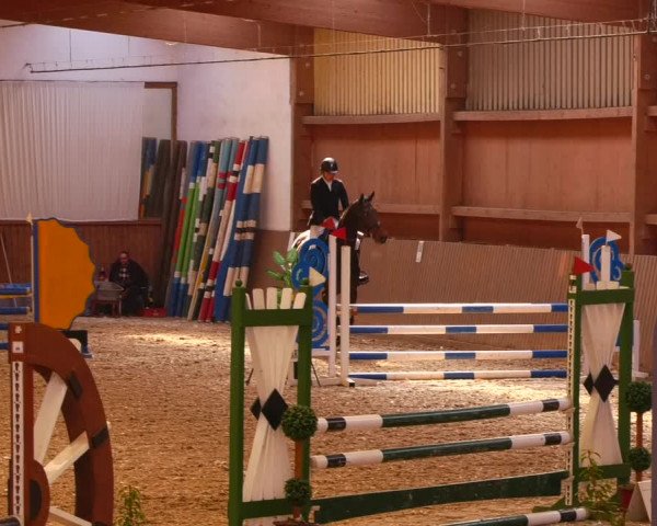 Reitturnier Lentzke - Reitanlage Krehl 2022