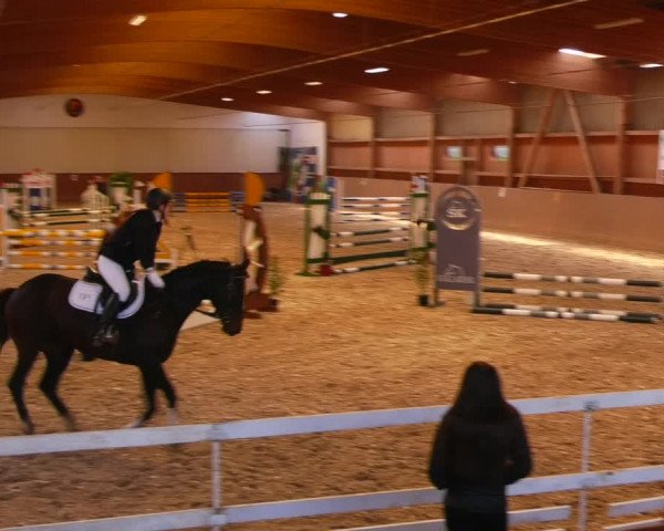Reitturnier Lentzke - Reitanlage Krehl 2022