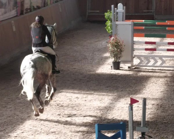 Reitturnier Köngen 2022