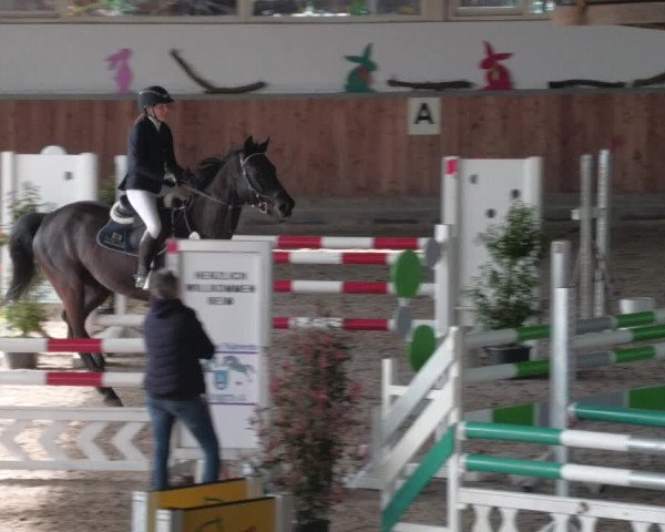 Reitturnier Köngen 2022