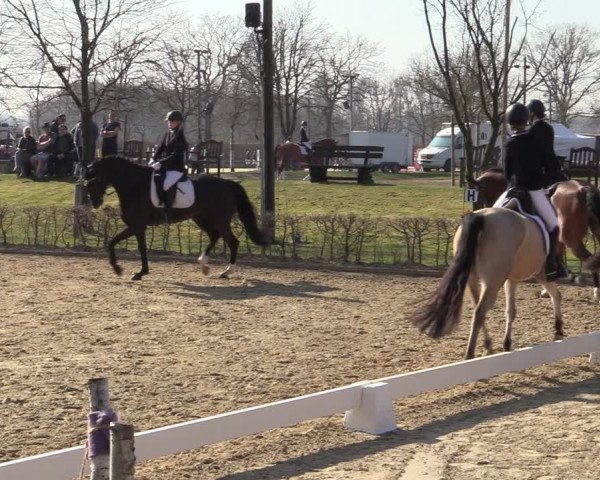 Reitturnier Olfen-Vinnum 2022