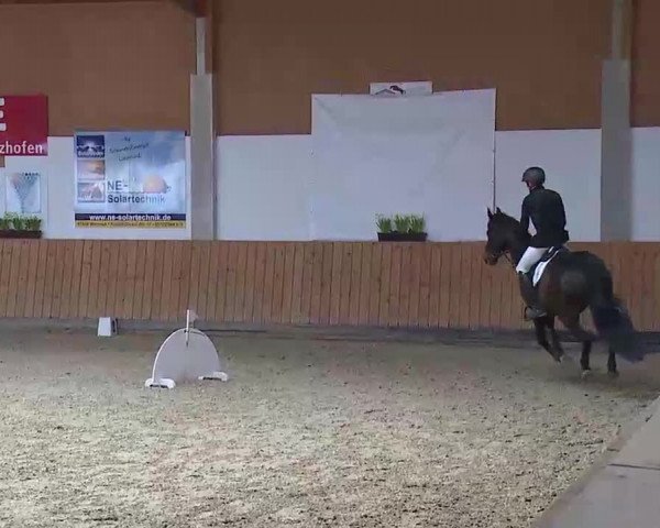Reitturnier Grafenrheinfeld/Ufr. 2022