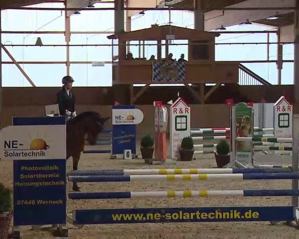 Reitturnier Grafenrheinfeld/Ufr. 2022