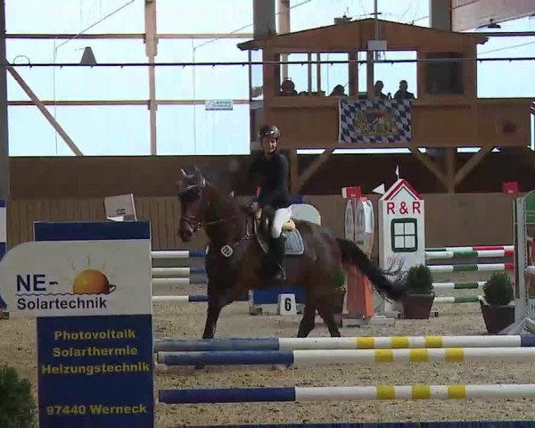 Reitturnier Grafenrheinfeld/Ufr. 2022