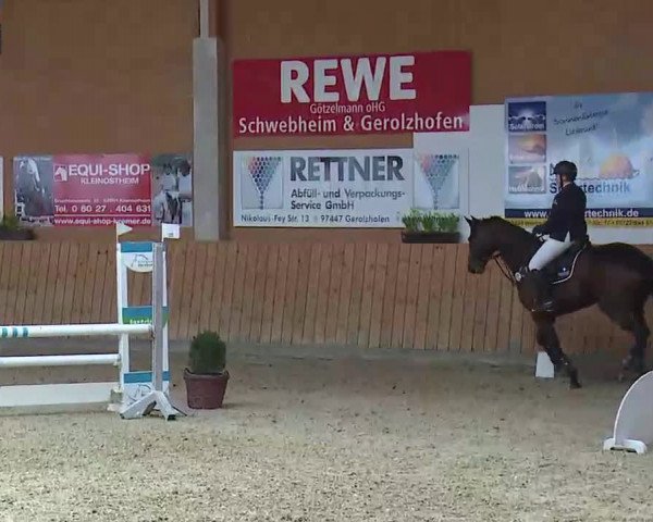 Reitturnier Grafenrheinfeld/Ufr. 2022