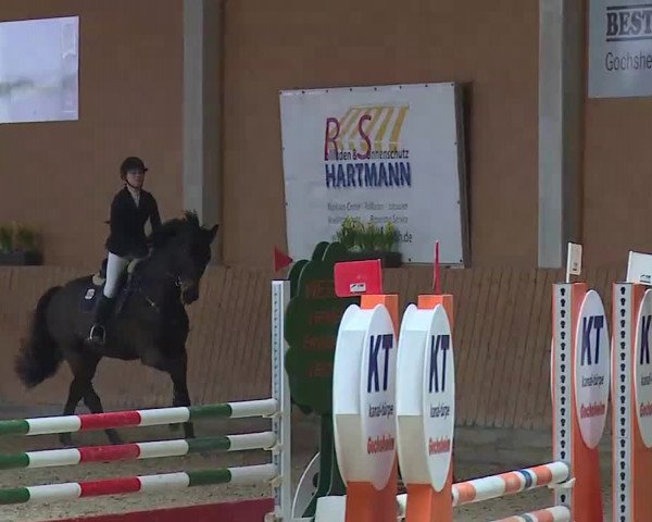 Reitturnier Grafenrheinfeld/Ufr. 2022