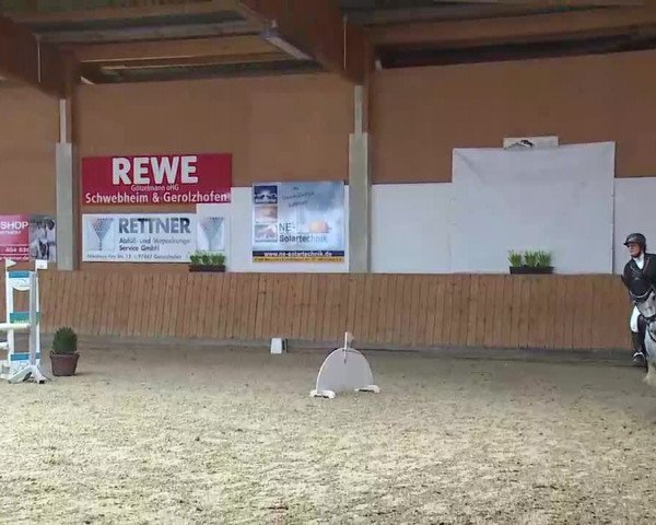 Reitturnier Grafenrheinfeld/Ufr. 2022