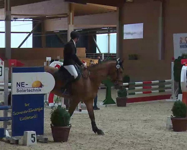 Reitturnier Grafenrheinfeld/Ufr. 2022