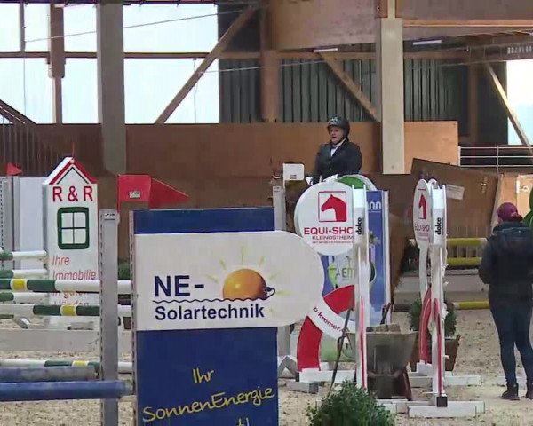Reitturnier Grafenrheinfeld/Ufr. 2022