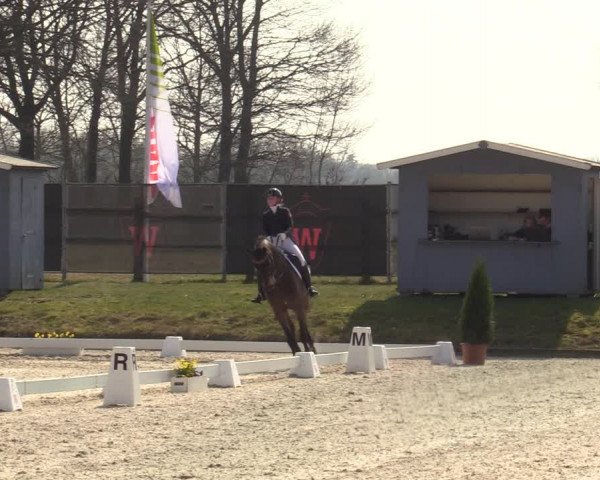 Münster-Handorf | Late Entries Frühlingserwachen 2022