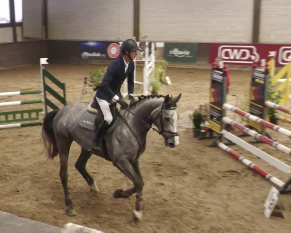 Reitturnier Heilbronn 2022