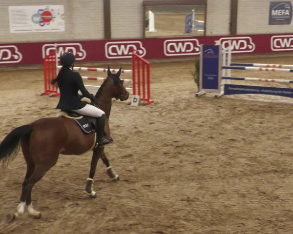 Reitturnier Heilbronn 2022