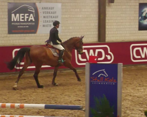 Reitturnier Heilbronn 2022