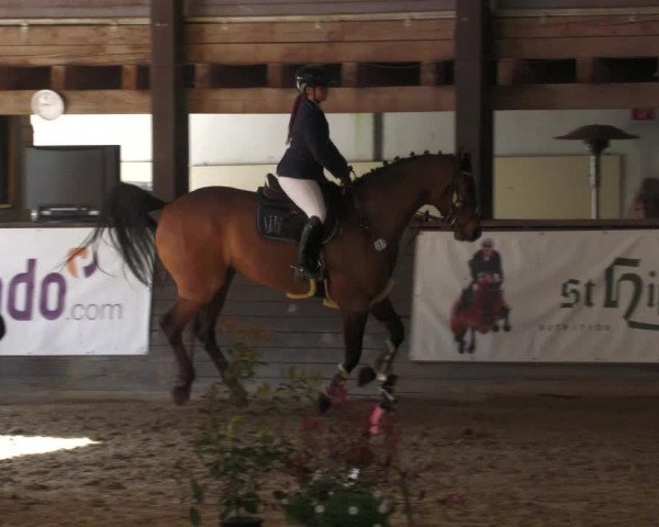 Reitturnier Heilbronn 2022