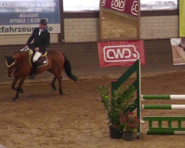Reitturnier Heilbronn 2022