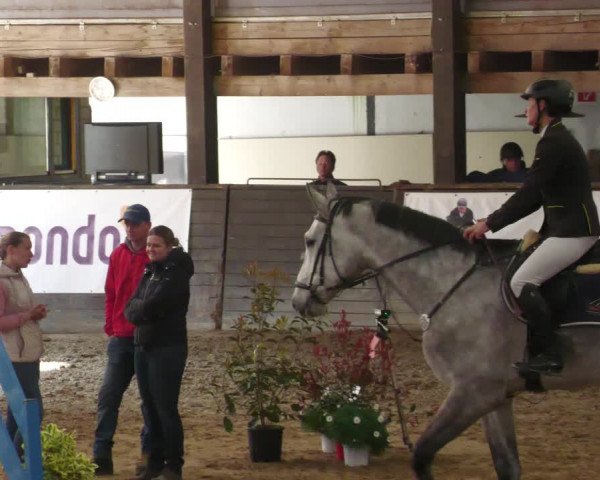 Reitturnier Heilbronn 2022