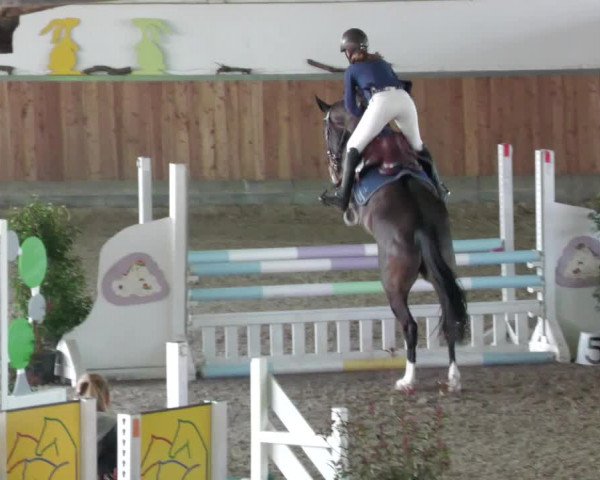 Reitturnier Köngen 2022