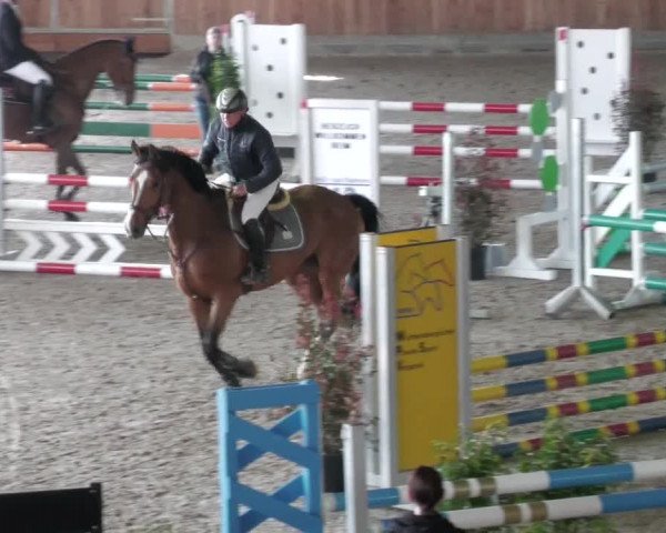 Reitturnier Köngen 2022