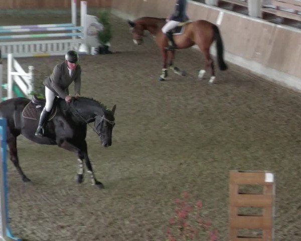 Reitturnier Köngen 2022