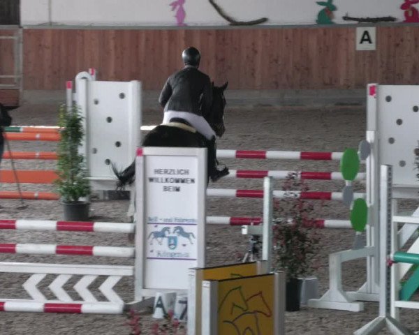 Reitturnier Köngen 2022