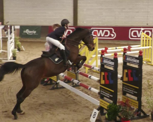 Reitturnier Heilbronn 2022