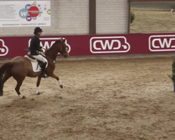 Reitturnier Heilbronn 2022