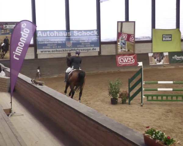 Reitturnier Heilbronn 2022