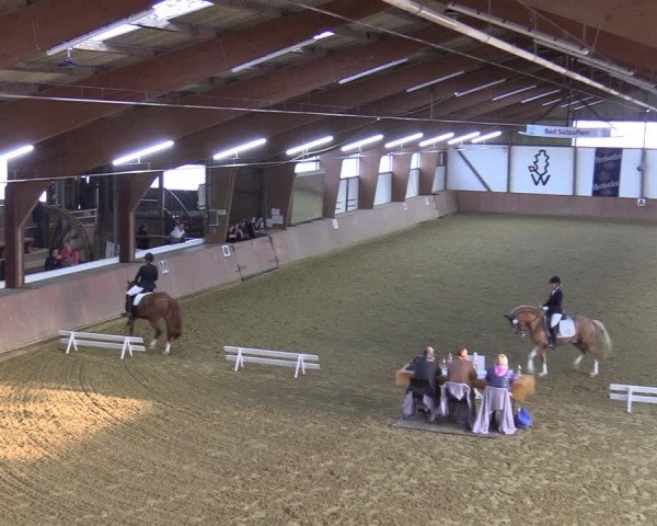 Reitturnier Bad Salzuflen 2022