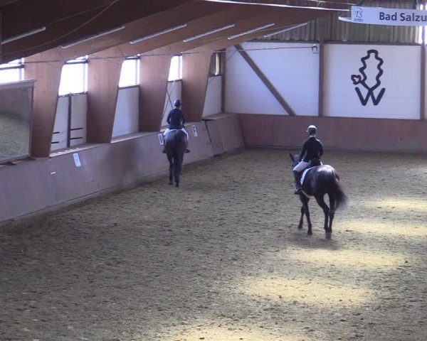 Reitturnier Bad Salzuflen 2022