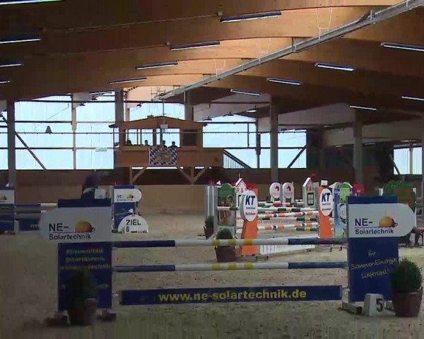 Reitturnier Grafenrheinfeld/Ufr. 2022