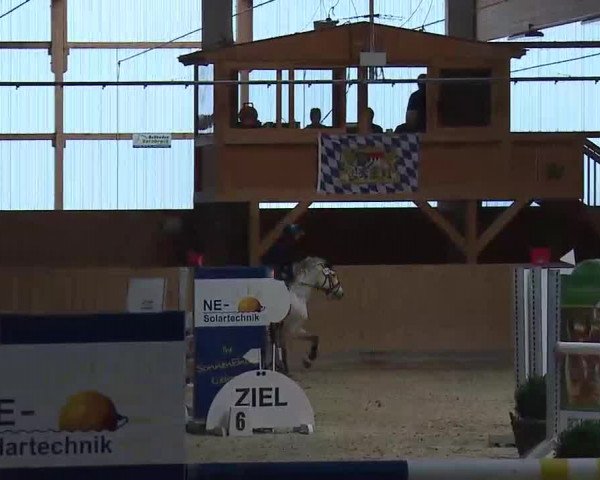 Reitturnier Grafenrheinfeld/Ufr. 2022