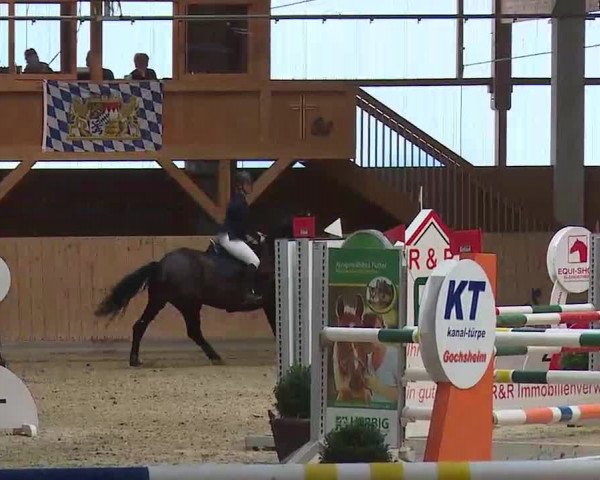 Reitturnier Grafenrheinfeld/Ufr. 2022