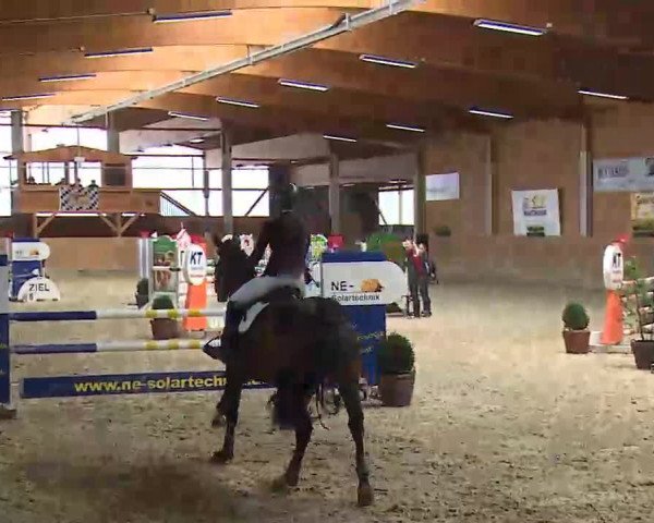 Reitturnier Grafenrheinfeld/Ufr. 2022