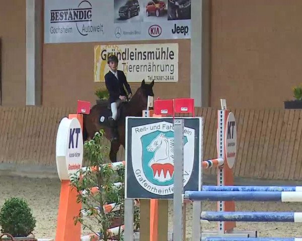 Reitturnier Grafenrheinfeld/Ufr. 2022