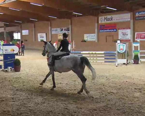 Reitturnier Grafenrheinfeld/Ufr. 2022