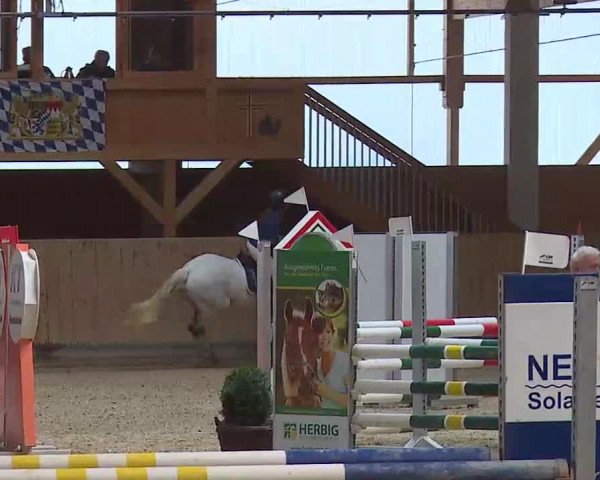 Reitturnier Grafenrheinfeld/Ufr. 2022