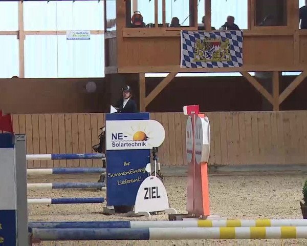 Reitturnier Grafenrheinfeld/Ufr. 2022