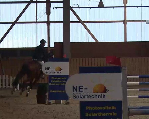 Reitturnier Grafenrheinfeld/Ufr. 2022