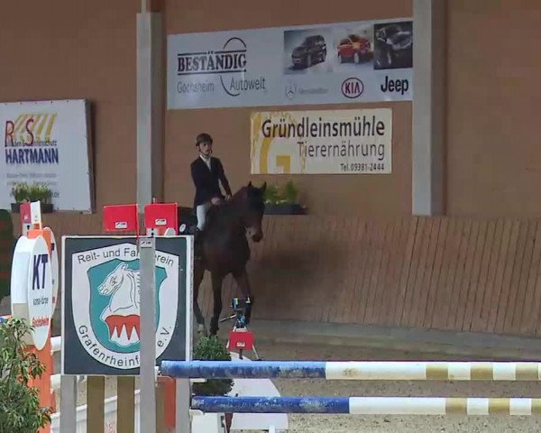 Reitturnier Grafenrheinfeld/Ufr. 2022