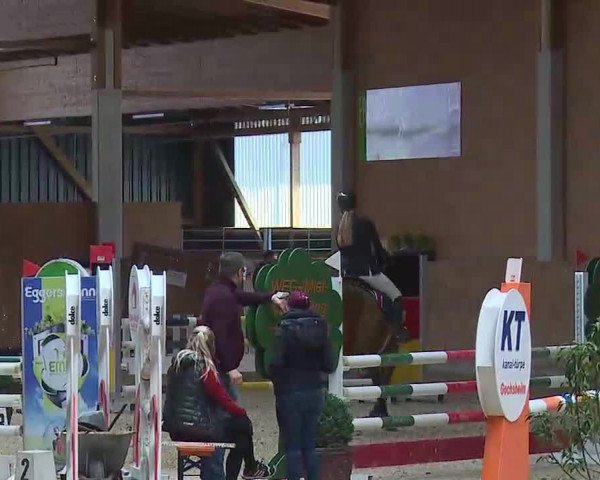 Reitturnier Grafenrheinfeld/Ufr. 2022