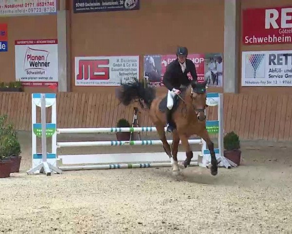 Reitturnier Grafenrheinfeld/Ufr. 2022