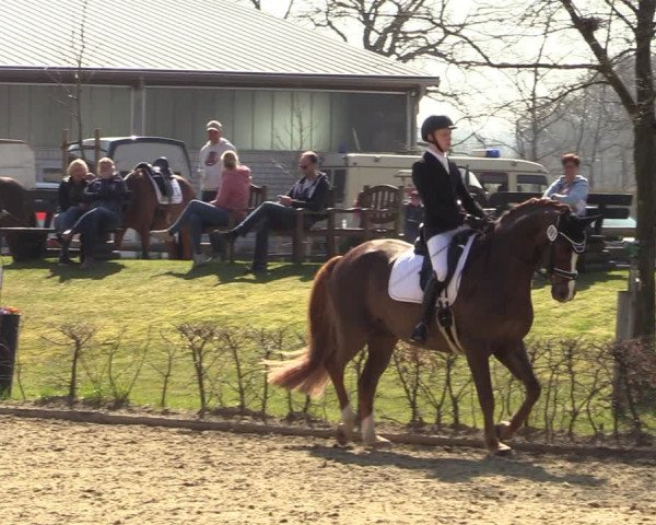 Reitturnier Olfen-Vinnum 2022