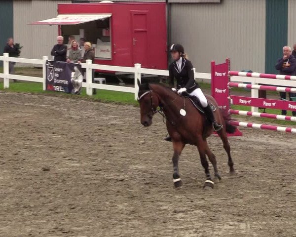 Springturnier Mildstedt 2021