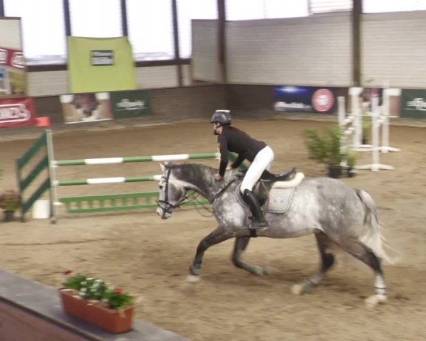 Reitturnier Heilbronn 2022