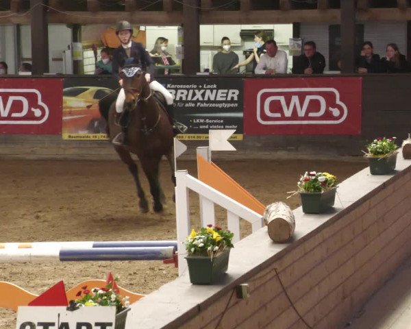 Reitturnier Heilbronn 2022