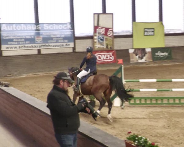 Reitturnier Heilbronn 2022