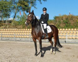 dressage horse Rhapsodie 186 (Sachse, 2000, from Rosier)