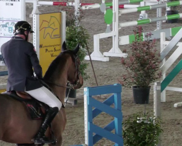 Reitturnier Köngen 2022