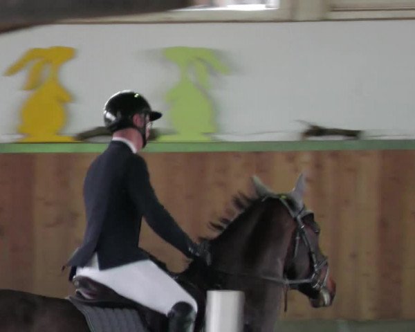 Reitturnier Köngen 2022